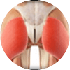 Gluteus Triggers